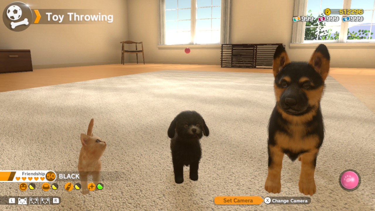Little Friends: Dogs And Cats Preview Screenshot 1