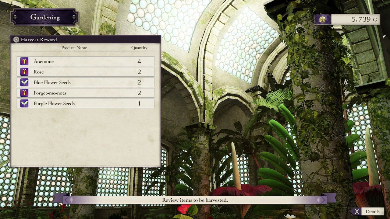 Fire Emblem: Three Houses Flowers Screenshot