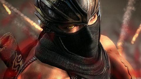 Ninja Gaiden 31