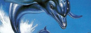 3d-ecco-the-dolphin