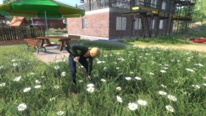 Farmer’s Dynasty Screenshot