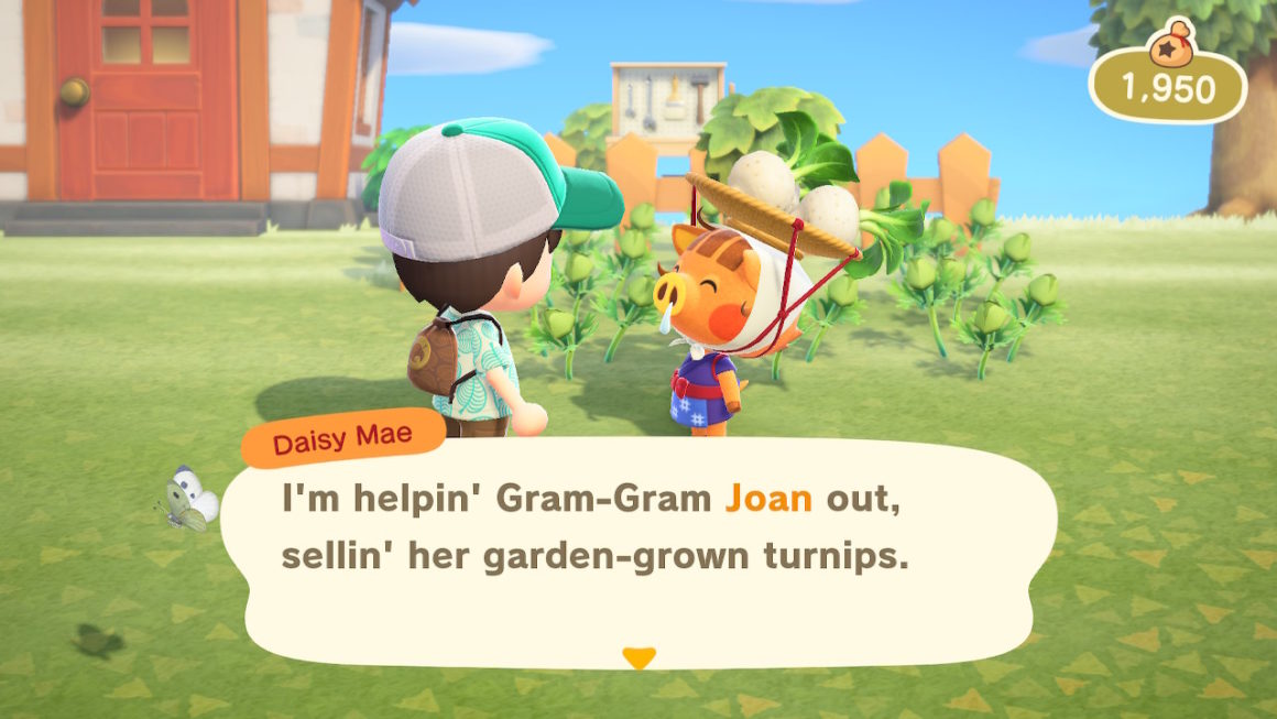 Animal Crossing New Horizons Turnips Turnip Prices, Daisy Mae And Sow