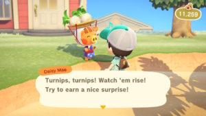 Turnips Animal Crossing: New Horizons Screenshot