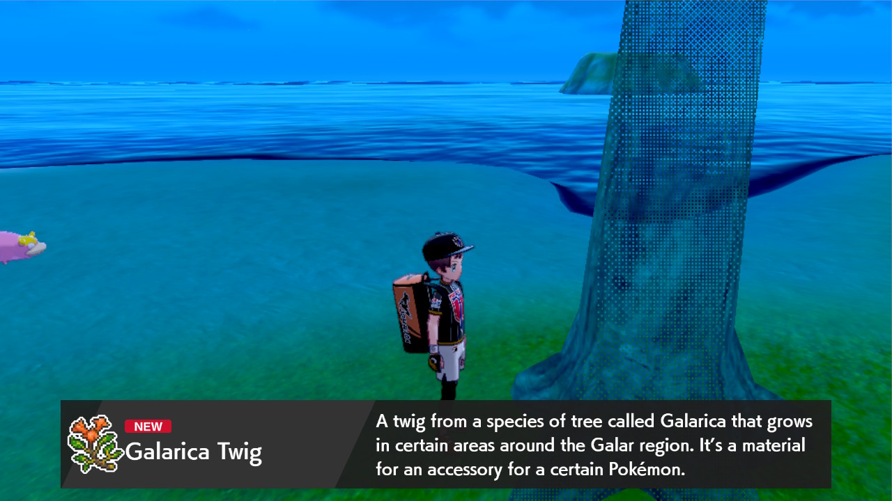 Galarica Twig Pokémon Sword and Shield Screenshot