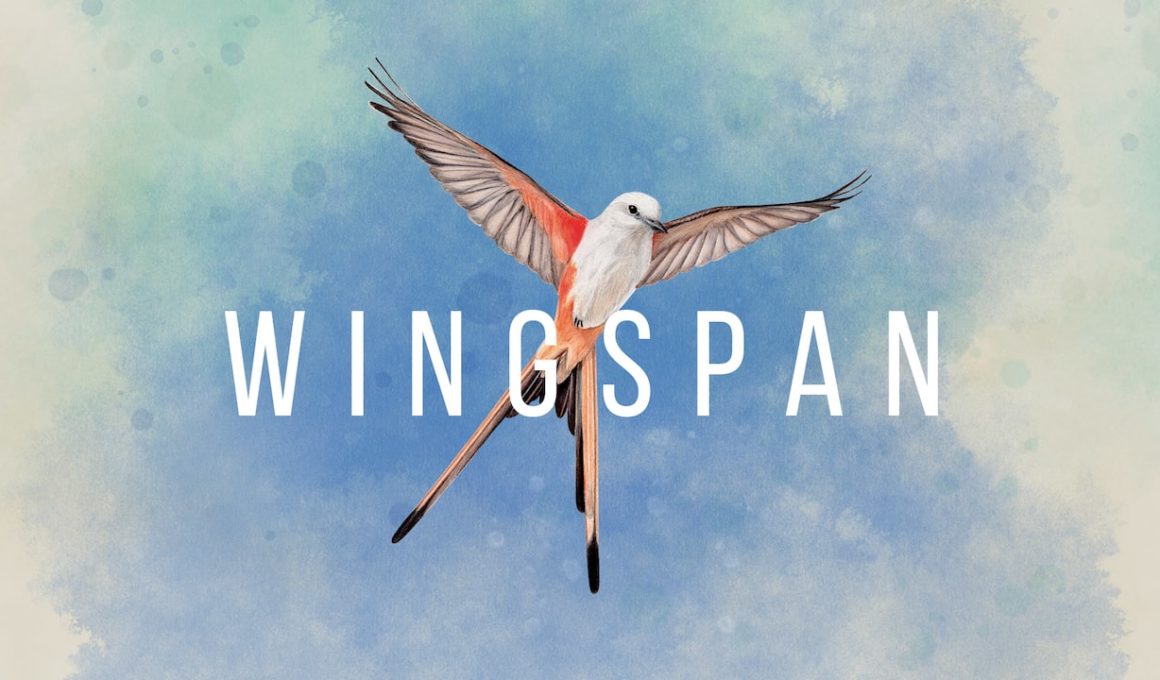 Wingspan Review Image