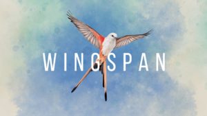 Wingspan Review Image