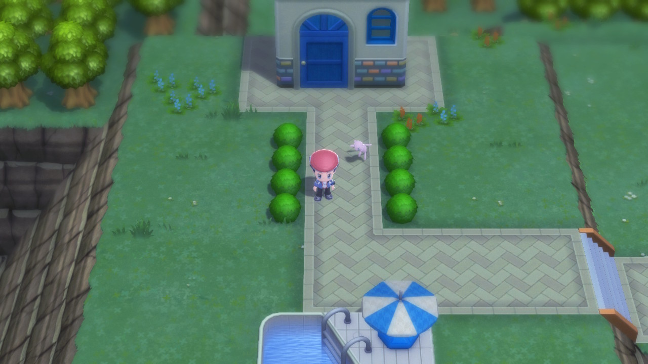 Pokémon Brilliant Diamond And Shining Pearl Catching Charm Location Screenshot