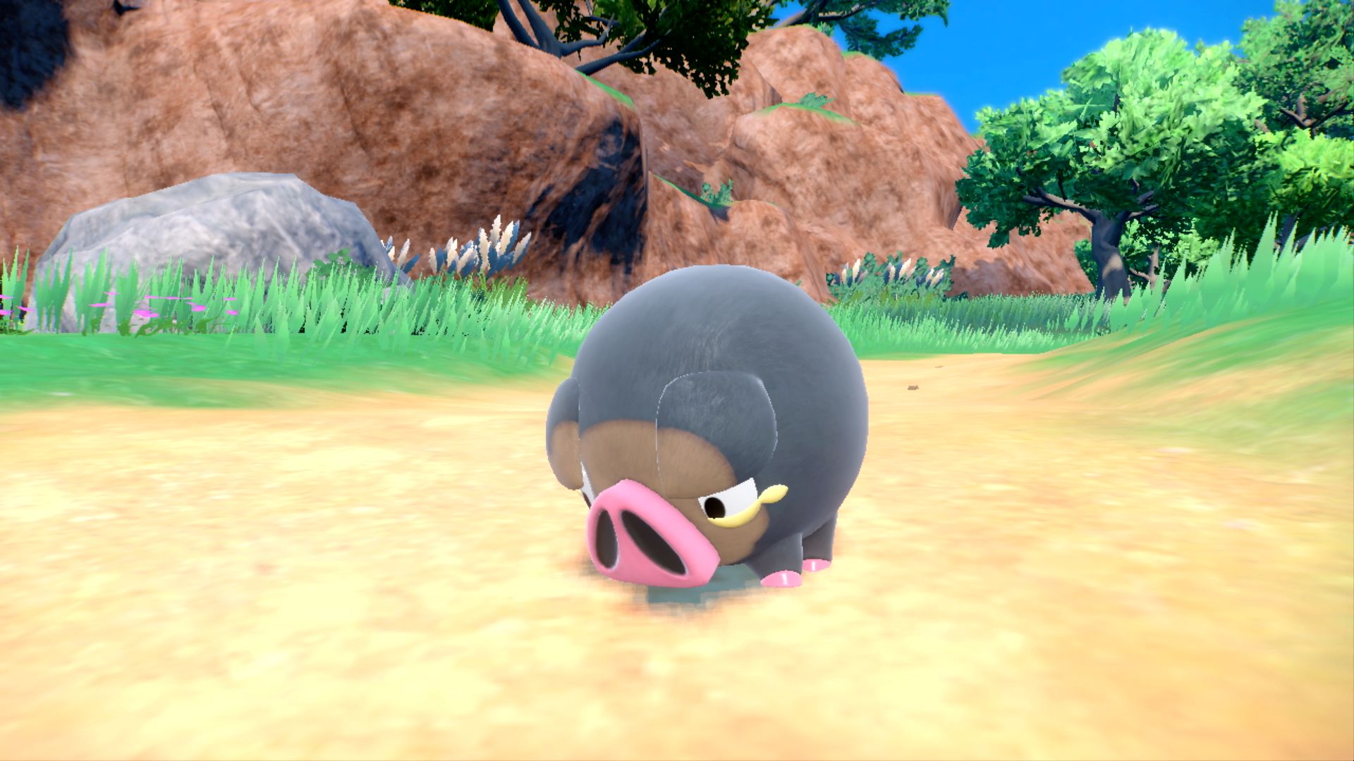 A screenshot of Lechonk in Pokémon Scarlet and Violet