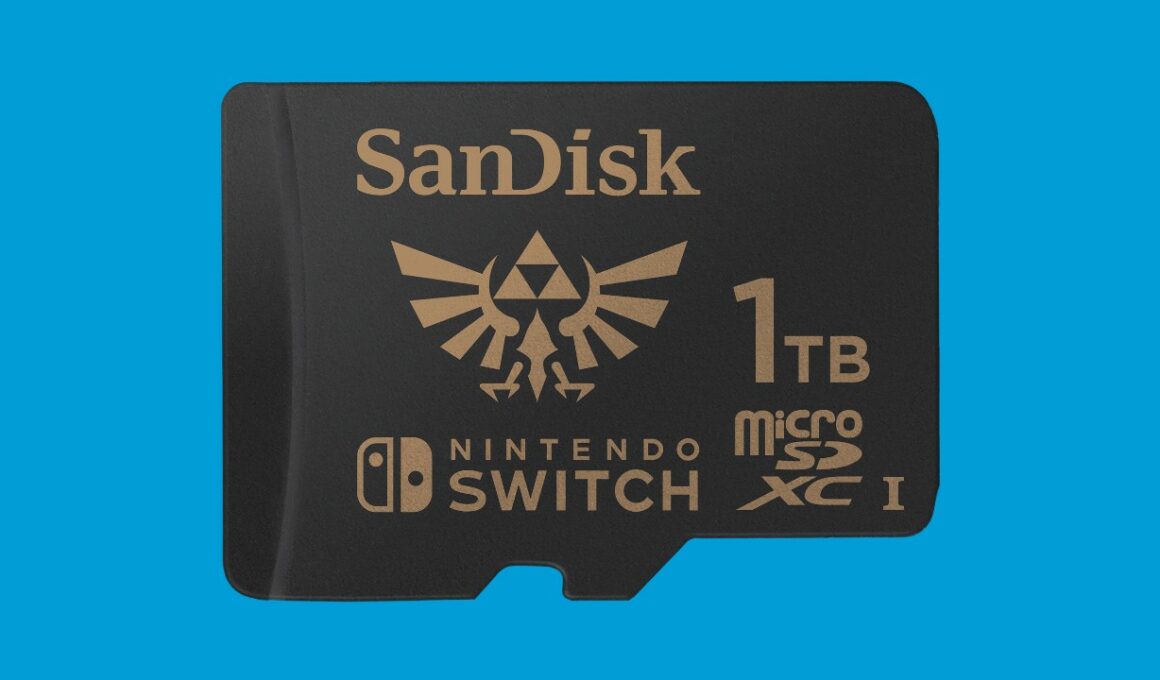 1TB SanDisk microSD Card Photo
