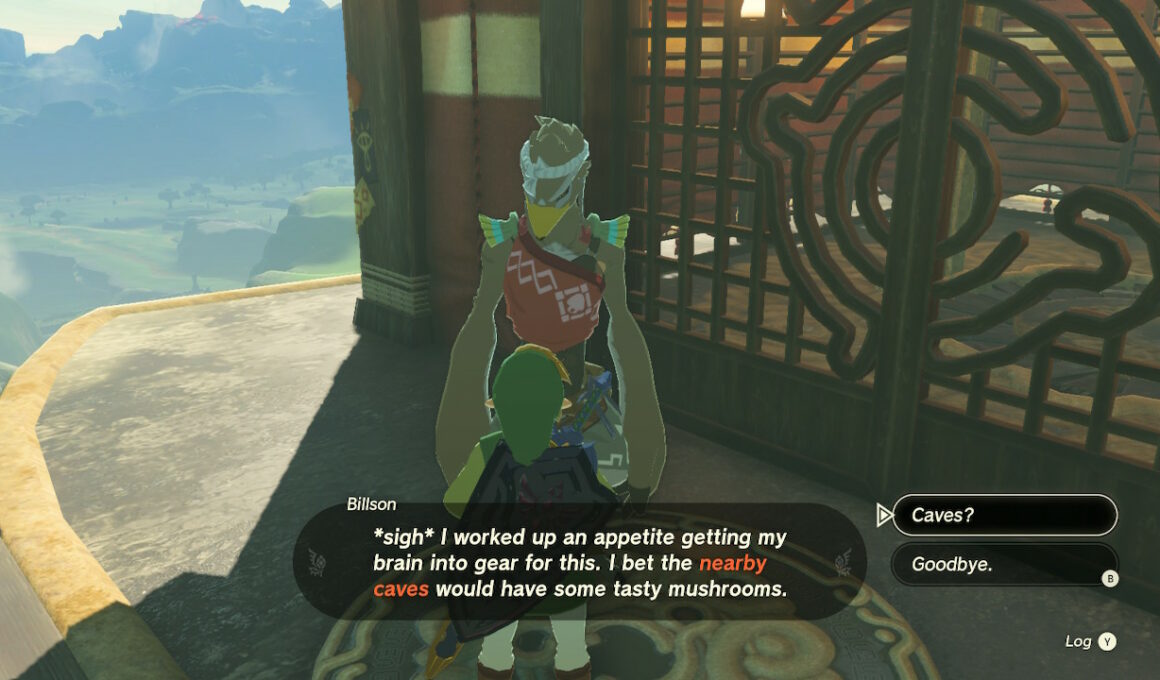 Zelda Tears of the Kingdom Billson Screenshot