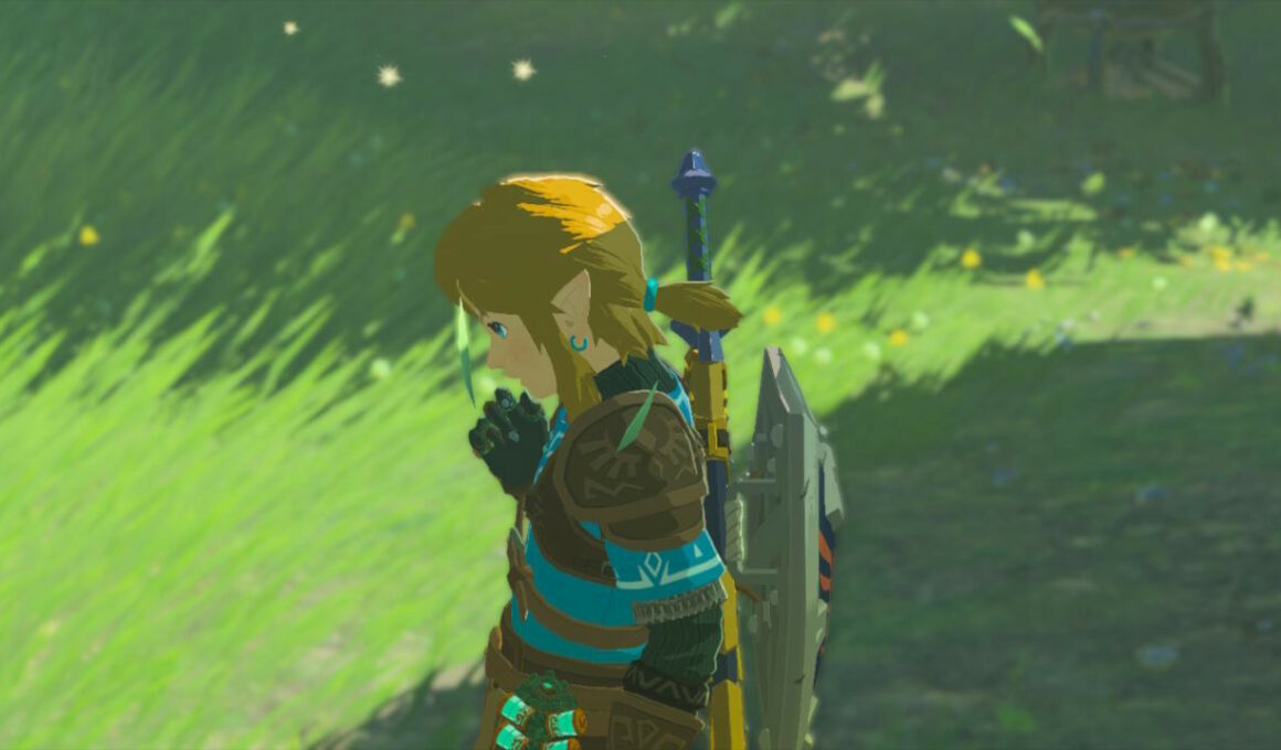 Zelda: Tears of the Kingdom Link's Hair Screenshot