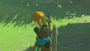 Zelda: Tears of the Kingdom Link's Hair Screenshot