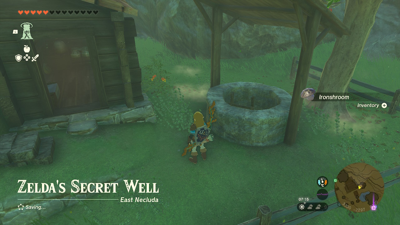 Zelda: Tears of the Kingdom Secret Well Screenshot