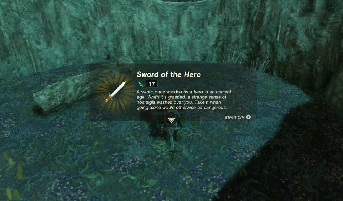 Zelda Tears of the Kingdom Sword of the Hero Screenshot