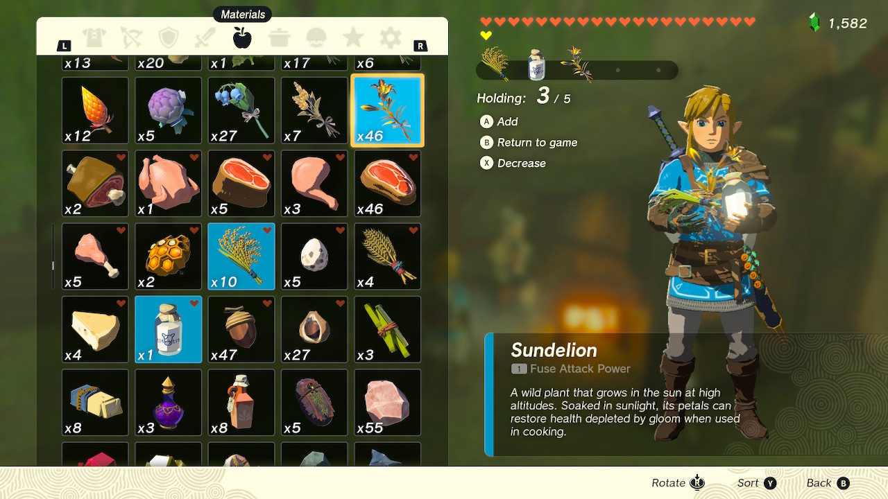 Zelda Tears of the Kingdom Wild Greens Screenshot