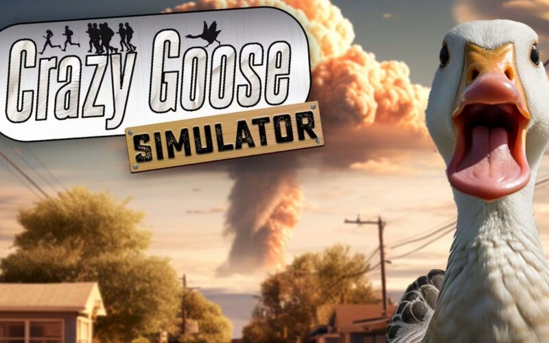 Crazy Goose Simulator Logo