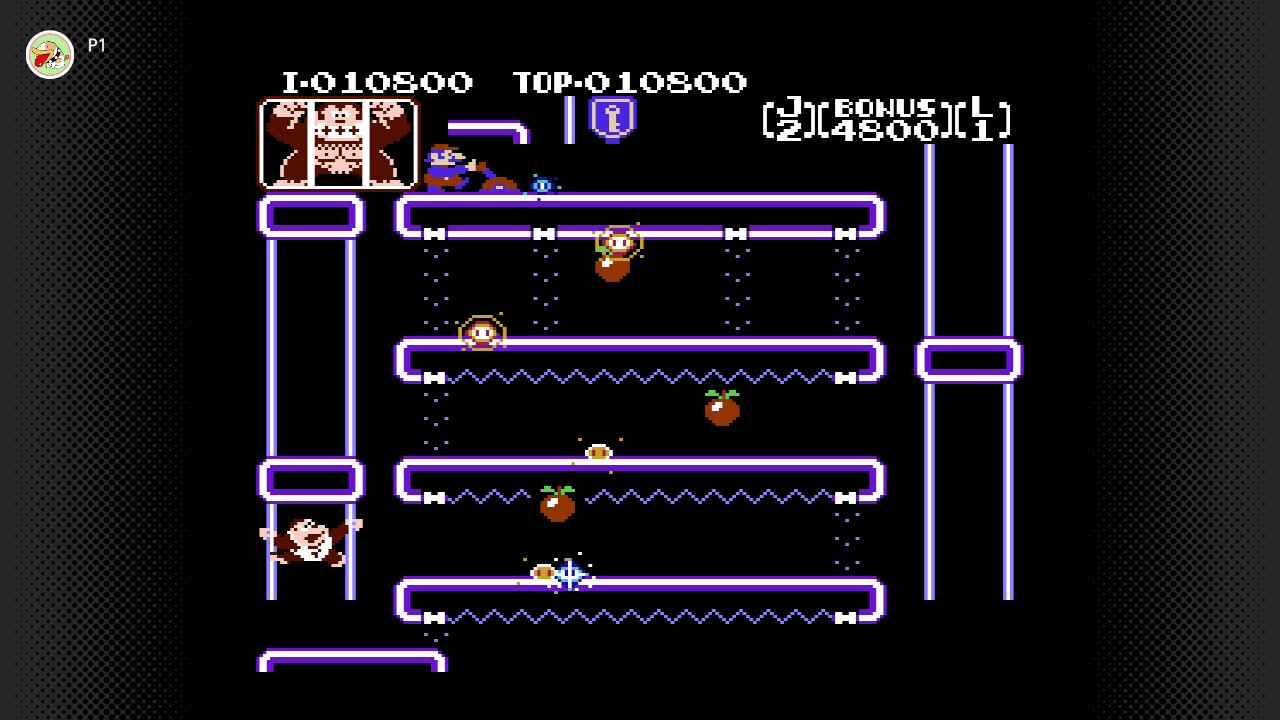 Ranking All the Donkey Kong Games You Can Play On Nintendo Switch 2 10 donkey kong jr screenshot
