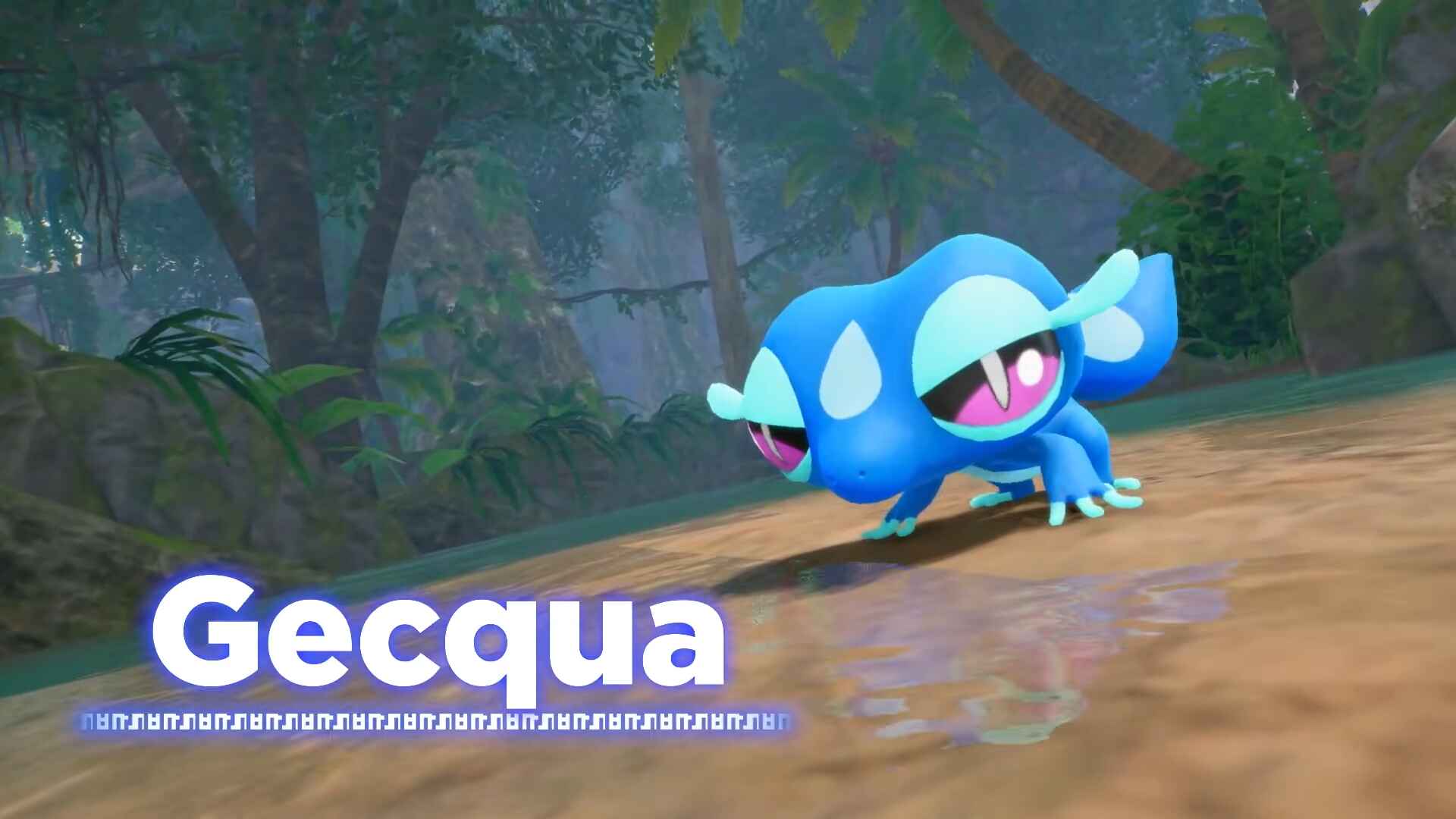 pokemon winds and waves gecqua screenshot