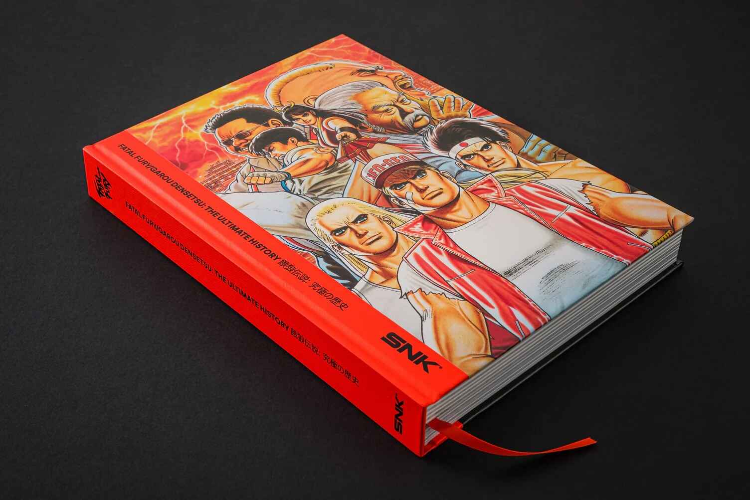 bitmap fatal fury image